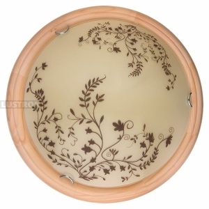 Настенно-потолочный светодиодный светильник TopLight Irene TL9630Y-00PN