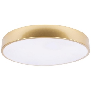 Потолочные светильники Loft It Flims 10228/A