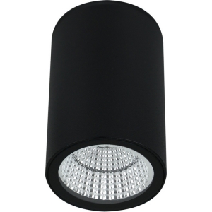 Уличные потолочные светильники Arte Lamp Torcular A1807PF-1BK