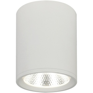 Накладной светильник светодиодный 20003 20003SMU/02LED SWH