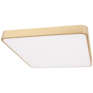 Потолочные светильники Loft It Flims 10228/D