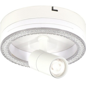 Настенно-потолочный светодиодный светильник Escada 20044LED 20044SMA/01LED WH 20Вт, металл/акрил, белый