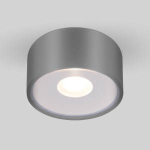 Потолочный светильник уличный светодиодный Light LED 35141/H серый