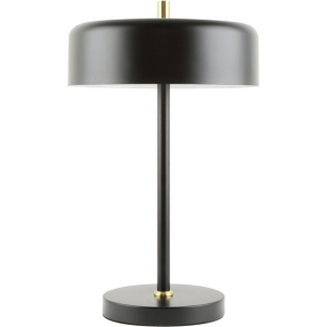 Настольная лампа Arte Lamp Skat A7052LT-2BK
