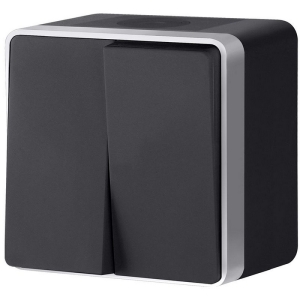 Выключатель двухклавишный влагозащищенный Gallant Werkel W5020234 (черный с серебром)