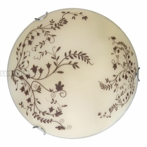 Настенно-потолочный светодиодный светильник TopLight Irene TL9630Y-00WH
