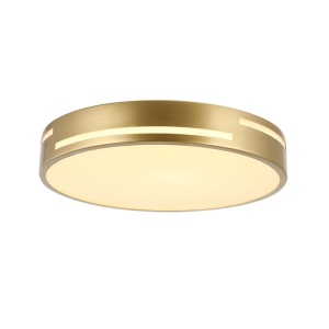 Потолочный светильник светодиодный F-Promo Pall 2745-1C