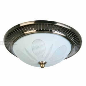 Потолочный светильник TopLight Fae TL5060Y-02AB