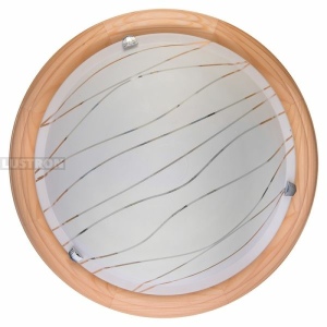 Настенно-потолочный светодиодный светильник TopLight Gabrielle TL9610Y-00PN