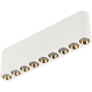 Потолочный светильник Odeon Light Small 7091/21CL белый/металл/акрил LED 21W 3000K 220V