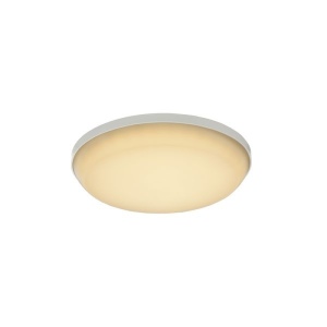 Потолочный светильник уличный Caio LED 32105-12