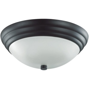 Настенно-потолочный светильник черный E27 2*60W Lumion Kayla 5263/2C