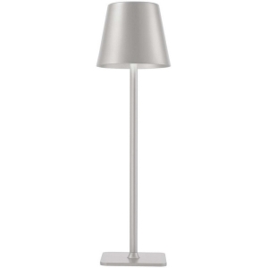Настольная лампа F-Promo Pyari 4617-1T
