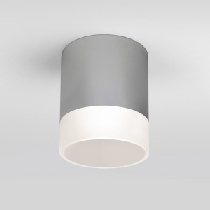 Потолочный светильник уличный светодиодный Light LED 35140/H серый