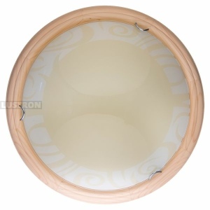Настенно-потолочный светодиодный светильник TopLight Ginger TL9620Y-00PN