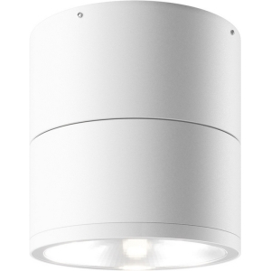 Уличный потолочный светильник Maytoni Spin O310CL-L7W3K