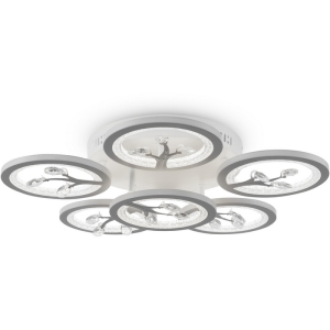 FR10017CL-L92W