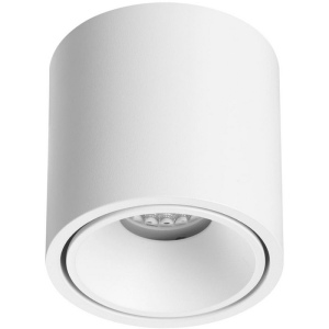 Потолочный светильник Odeon Light Redo 6620/10CL IP20 LED 10W 3000K 220V белый/металл/акрил