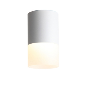 Накладной светильник светодиодный ST Luce Ottu ST100.502.10
