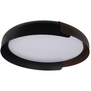 Потолочный светильник Loft It Coin 10198 Black