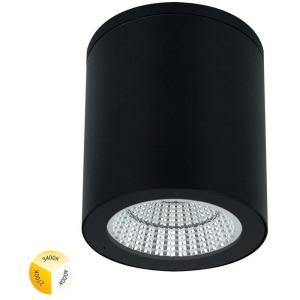 Уличный потолочный светильник Arte Lamp Torcular A1313PF-1BK