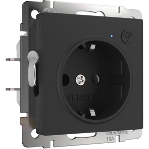 Розетка Wi-Fi (черный матовый) (a056422) Werkel Встраиваемые механизмы черные W1171608