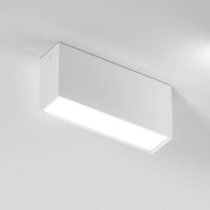 Светильник потолочный светодиодный Elektrostandard Block 25109/LED 10W 4000K белый